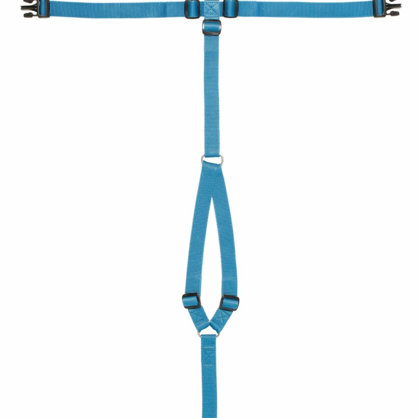 Szelki Haqihana - Turkusowe