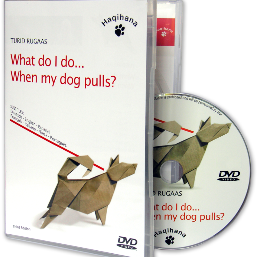 DVD - Co zrobić gdy pies ciągnie na smyczy?