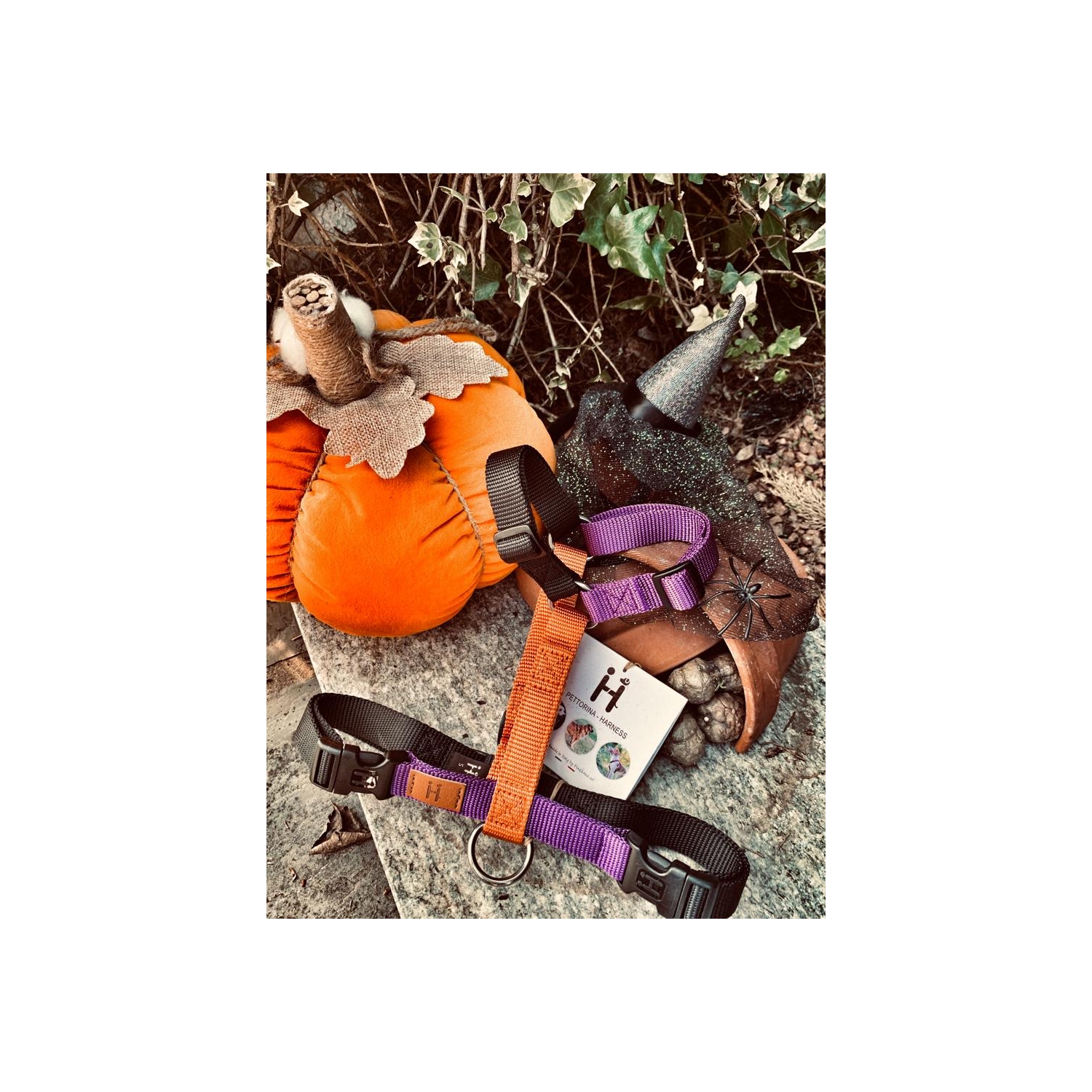 Szelki Haqihana - Halloween (limitowana edycja)