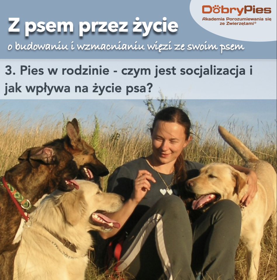 Z psem przez życie - 3. Pies w rodzinie. Czym jest socjalizacja?