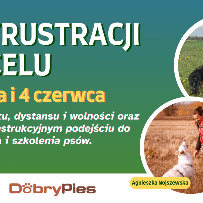 Webinar "Od Frustracji do Celu"