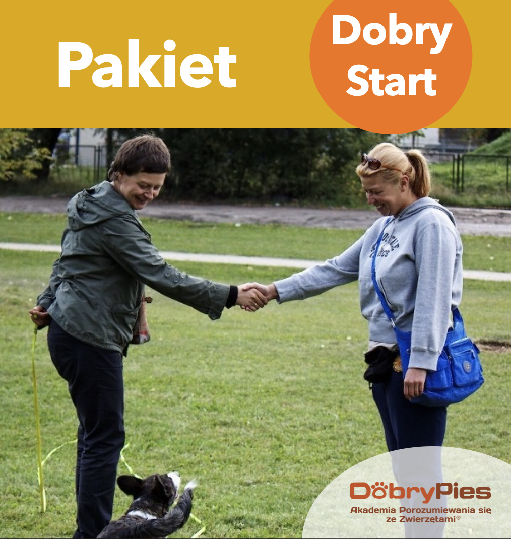 Pakiet Dobry Start