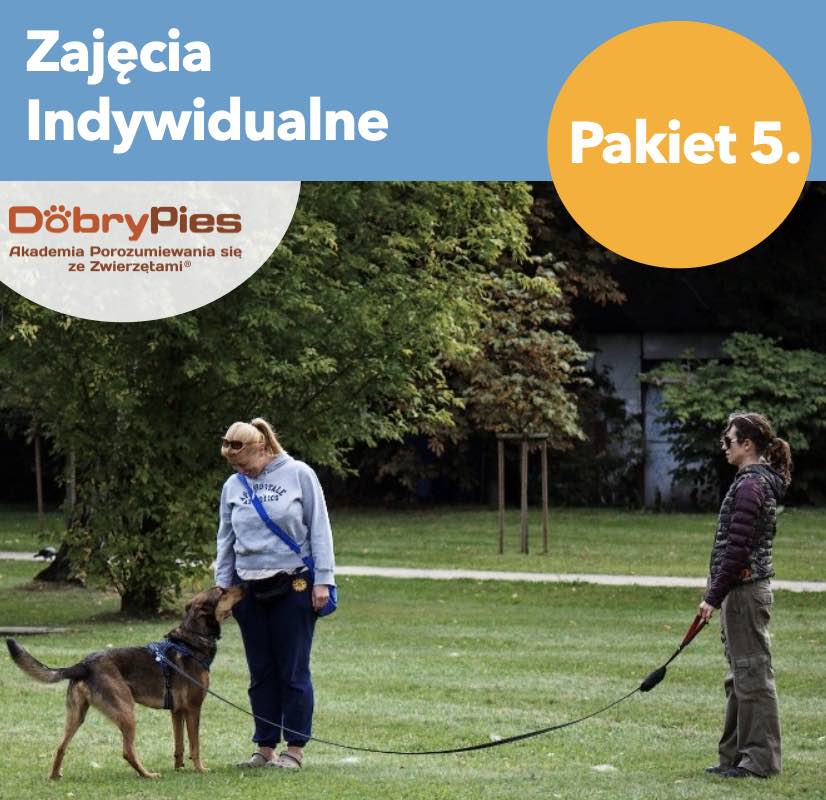 Pakiet 5. Zajęcia indywidualne