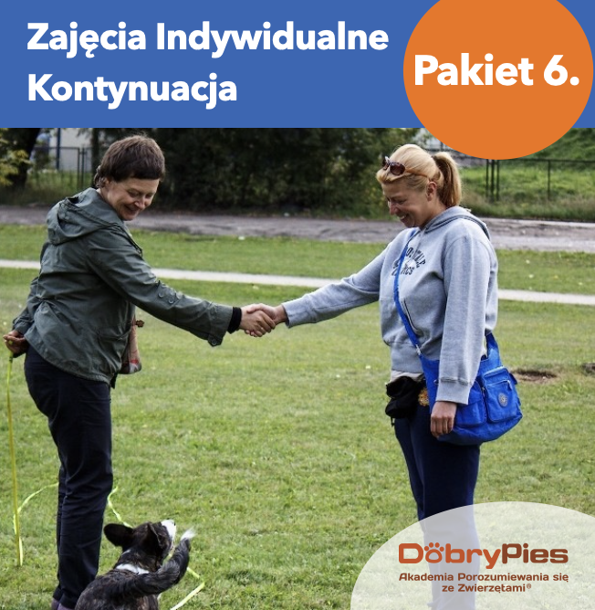 Pakiet 6. - Zajęcia Indywidualne Kontynuacja