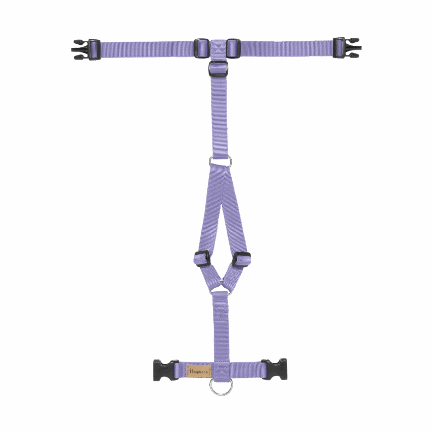 Szelki Haqihana - Lawendowe