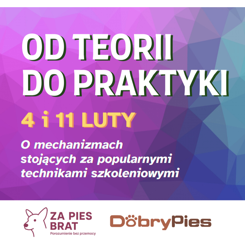 "Od Teorii do Praktyki" Webinar