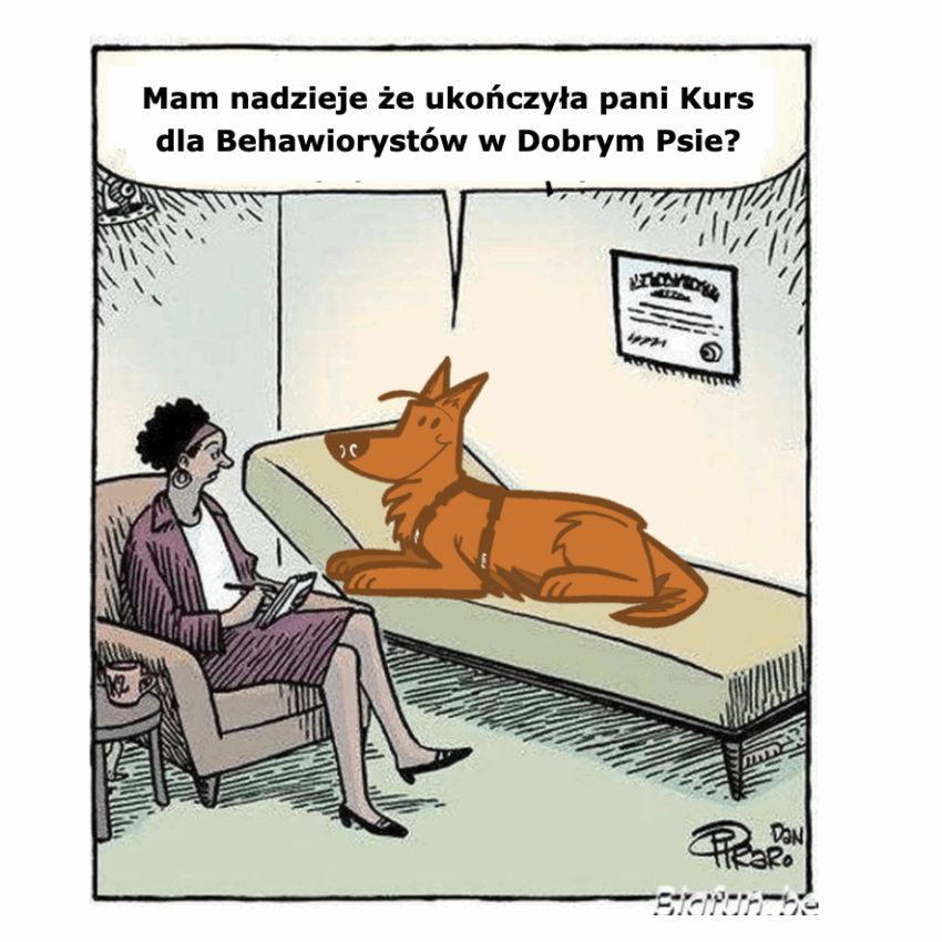 Kurs Instruktorski 10. edycja