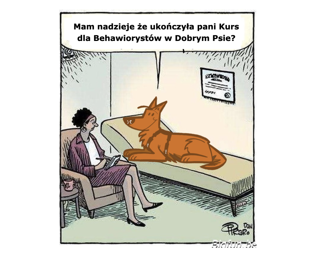 Kurs Instruktorski 10. edycja